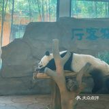 停车费10元。游玩路线：我们是西南门进去的
