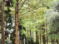 -苏州河梦清园环保主题公园