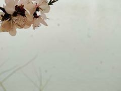 -颐和园