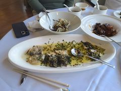 -圆苑(金茂店)