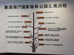 -黄海国家森林公园