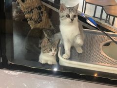 -弓舍射箭俱乐部(高新总店)