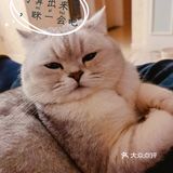 泡泡糖的日常——禁闭篇