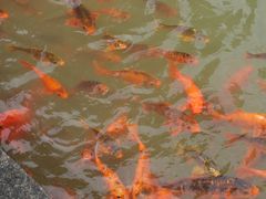 -灵栖洞天