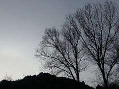 -北京鹫峰国家森林公园
