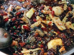 -黑竹香鸡(营和巷店)