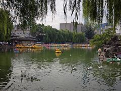 -团结湖公园