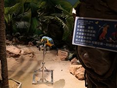 -天津zoonly动物主题公园