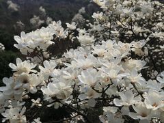 -溪口-滕头旅游景区