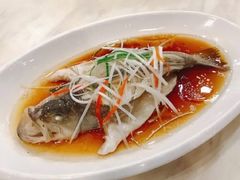 清蒸鲈鱼-三凤酒家·百年无锡菜(清扬茂业店)