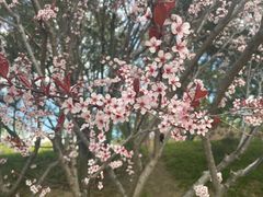 -丰台花园