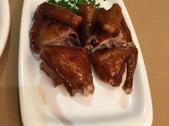 脆皮乳鸽-新南华大酒店(广中店)