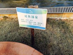 -龙达温泉生态城