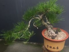 -葛子涧农家宴