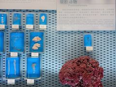 -浙江自然博物院(杭州馆)