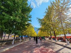 -辽宁大学(崇山校区)