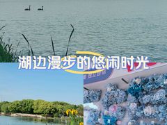 -新洲生态园
