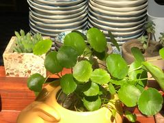 -铃木食堂(帽儿胡同店)
