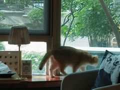 -咖法森林·咖啡  酒吧(天河店)