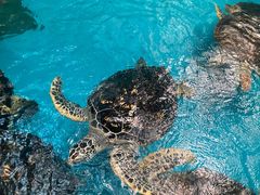 -福州罗源湾海洋世界旅游区