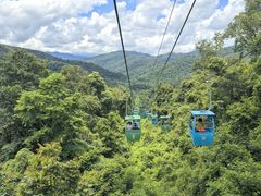-野象谷景区
