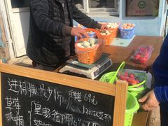 -大自然农场蔬菜草莓采摘园