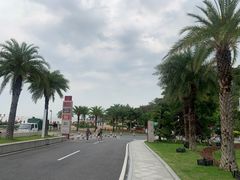 -野狸岛