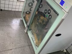 -贝贝宠物乐园(常青花园店)