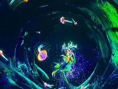 -海合安成都极地海洋公园