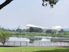 -贡湖湾湿地公园