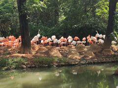 -上海野生动物园