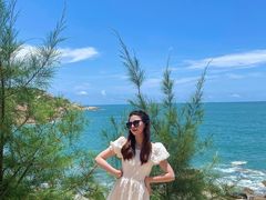 -广东惠东海龟国家级自然保护区