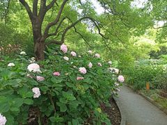 -共青国家森林公园-售票处