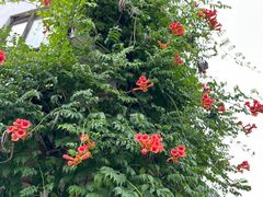 -阿木舂记·特色小吃(平江路店)