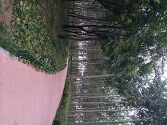 iphone_upload_pic-仁和公园(顺义区)
