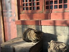 -正阳书局(西四南大街店)