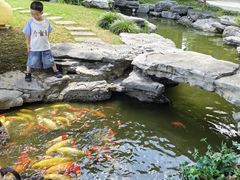 -扬州瘦西湖温泉