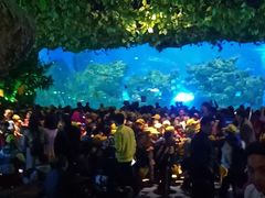 -芜湖新华联大白鲸海洋公园