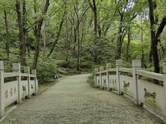 -宝岩生态观光园