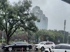 -江边城外烤全鱼(方庄时代购物中心店)