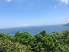 -海洋公园海洋列车－海滨站