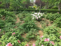 -燕郊植物园