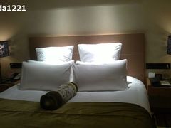 20110118084-天港禧悦酒店(宁波东部新城国际会展中心店)