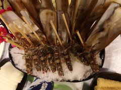 -鲜入围煮花胶鸡海鲜火锅