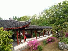 -采石矶景区