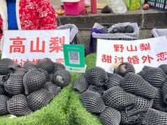 -海窝子古镇