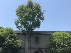 -毛泽东同志旧居