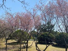 -白塘生态植物园