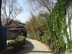 -万柳阁小馆·花园餐厅(龙潭湖店)