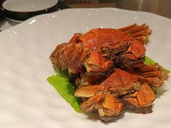 -7017浙菜•建德味(中财店)